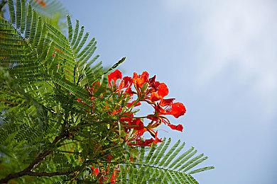 “宝可梦”风游戏《Monster Crown》主机发售预告 2月22日上线